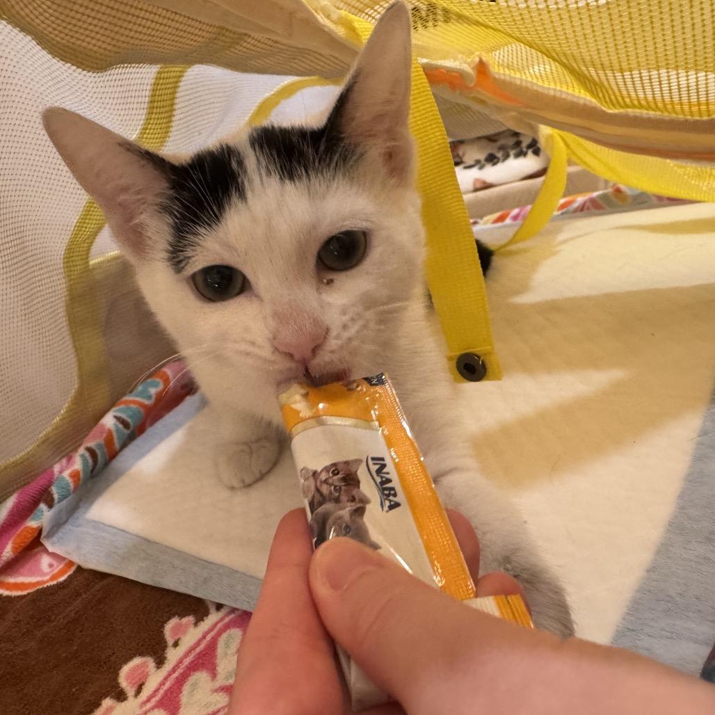 Lexie — thumbnail 6