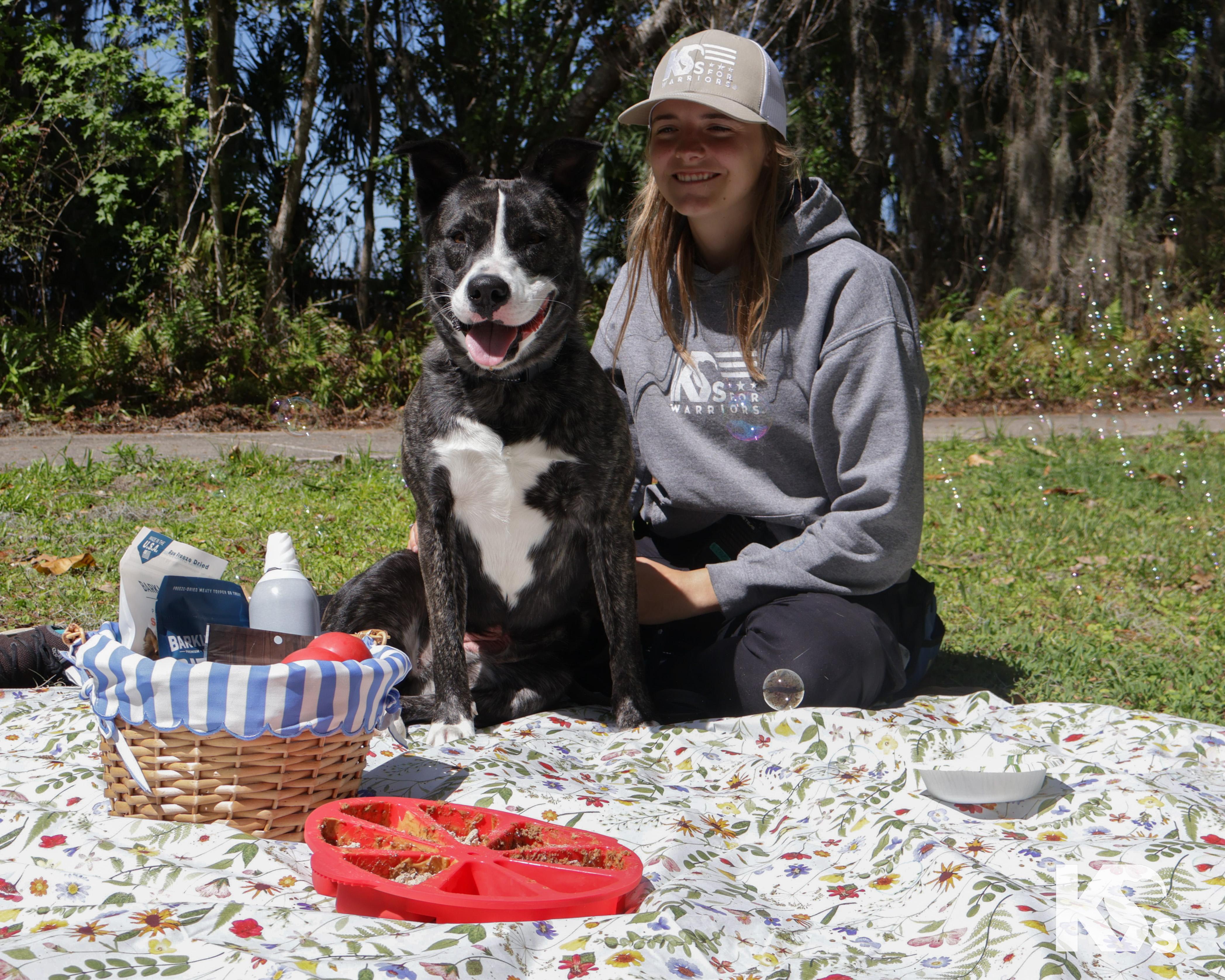 Enlarge Denali , a Adoptable mixed breed in Ponte Vedra, FL image 3/6