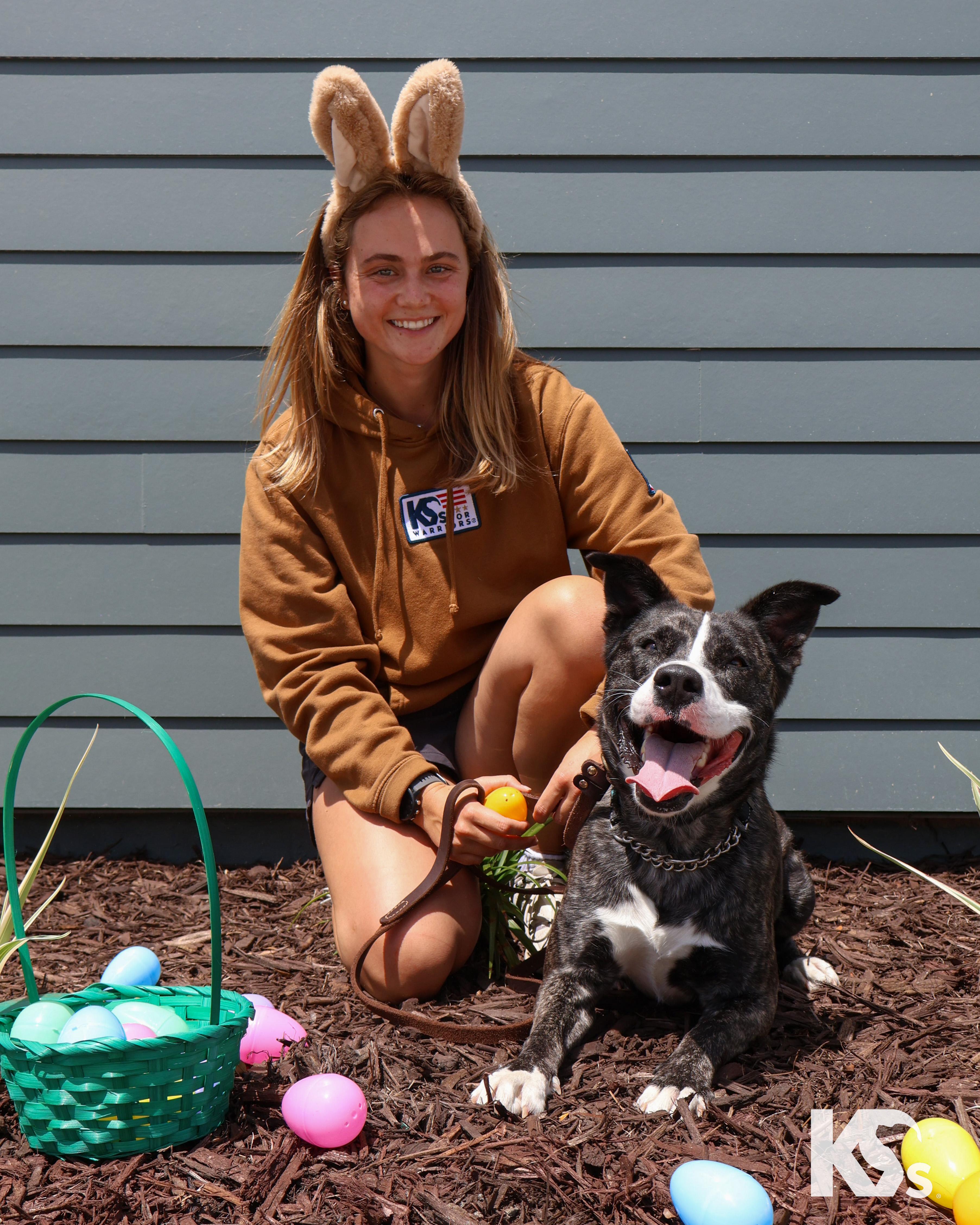 Enlarge Denali , a Adoptable mixed breed in Ponte Vedra, FL image 6/6