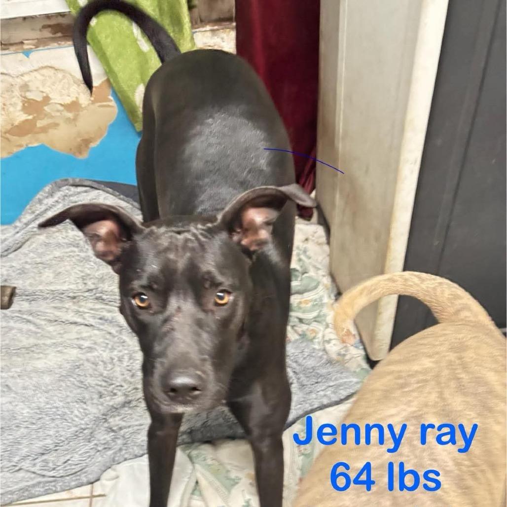 Jenny Ray thumbnail 2