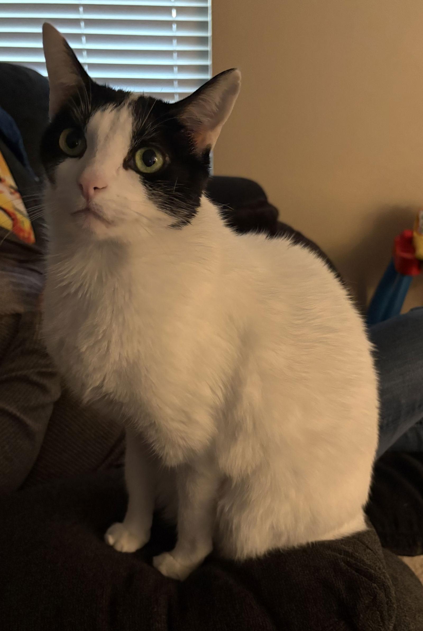 Max Xviii thumbnail 3