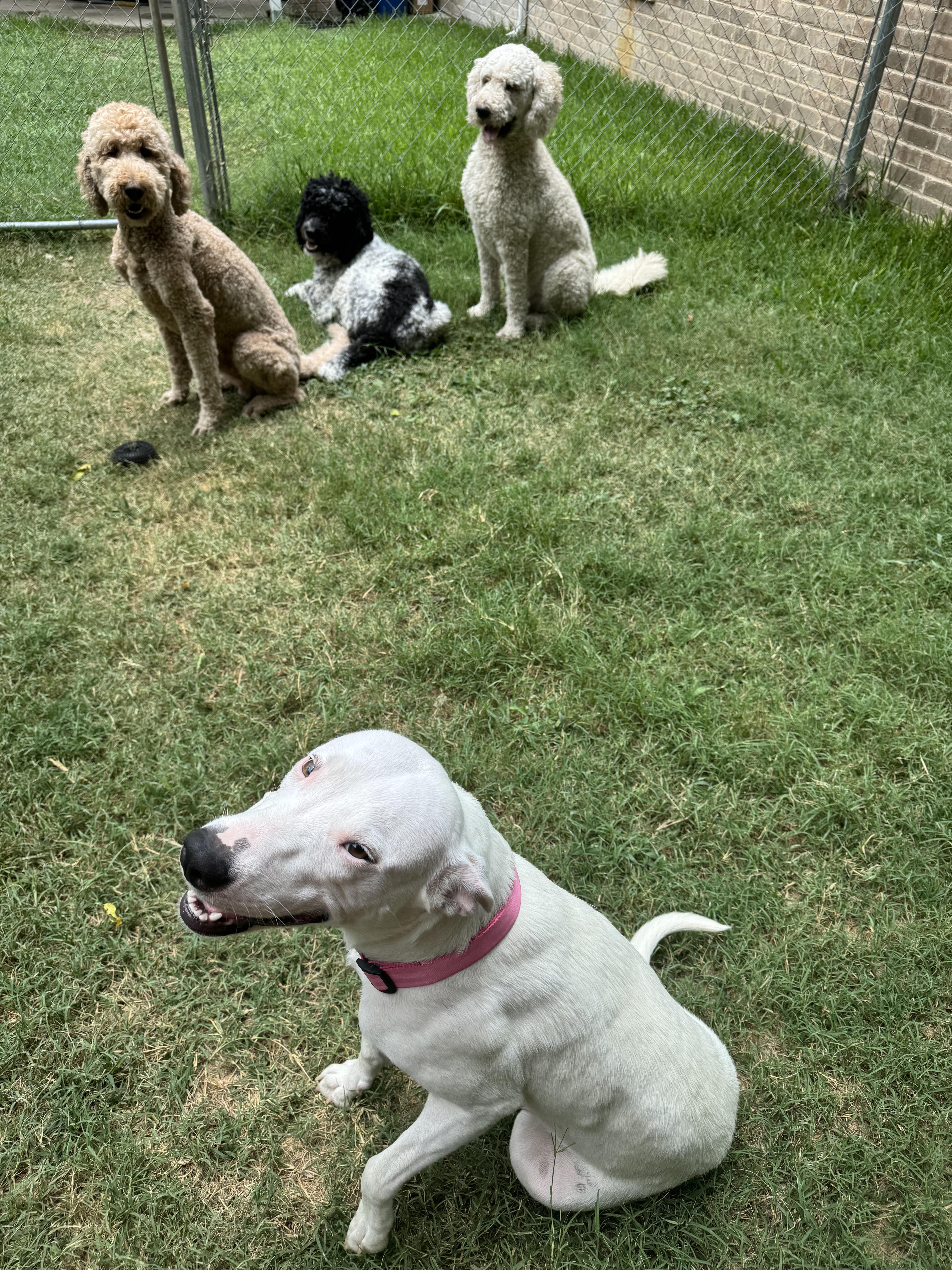 Lucy photo 3
