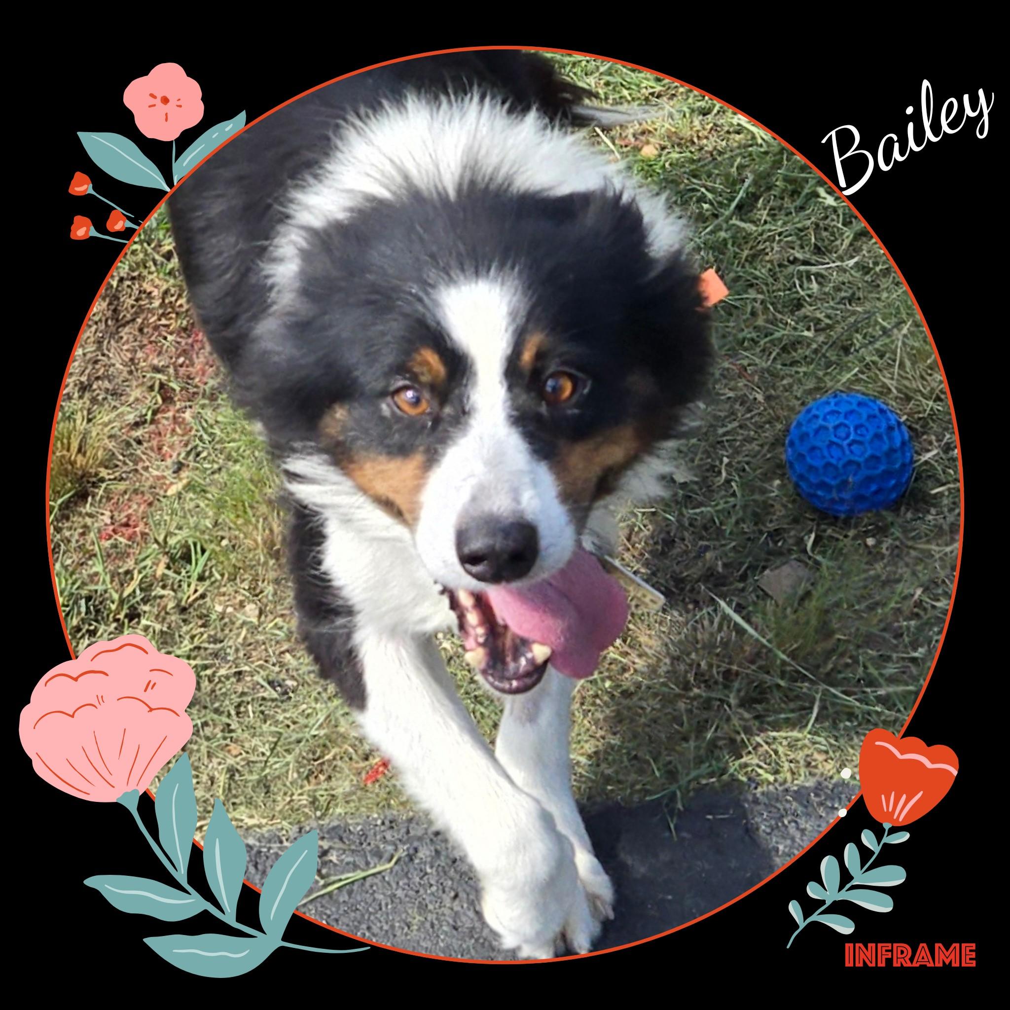 Bailey