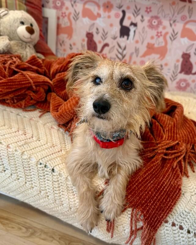 Mister Marty Marvelous thumbnail 4