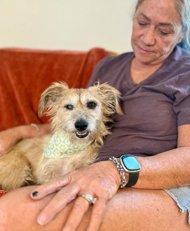 Mister Marty Marvelous thumbnail 5