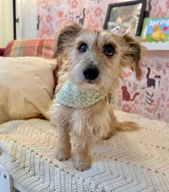 Mister Marty Marvelous