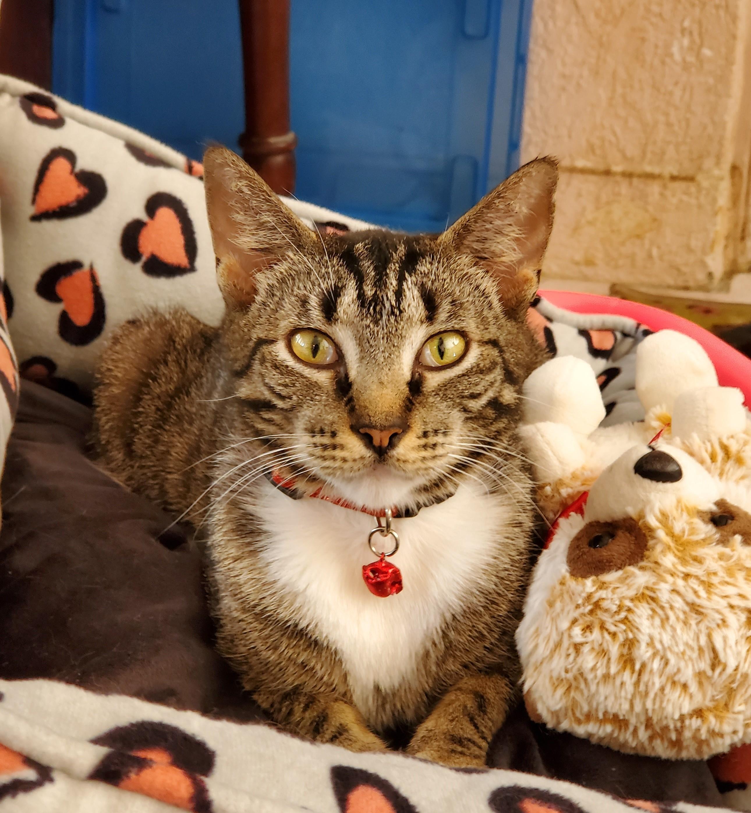 Abbey fka Astrid — thumbnail 3