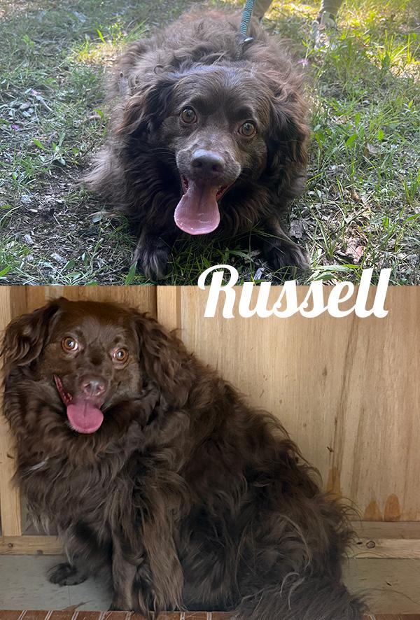 Russell