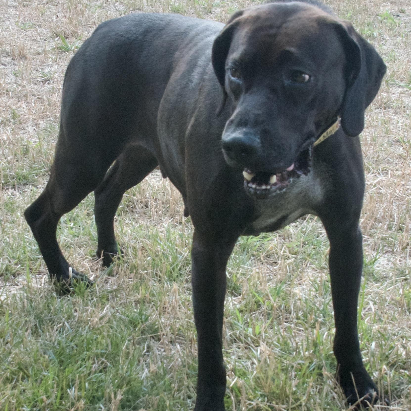 Sammy photo 3