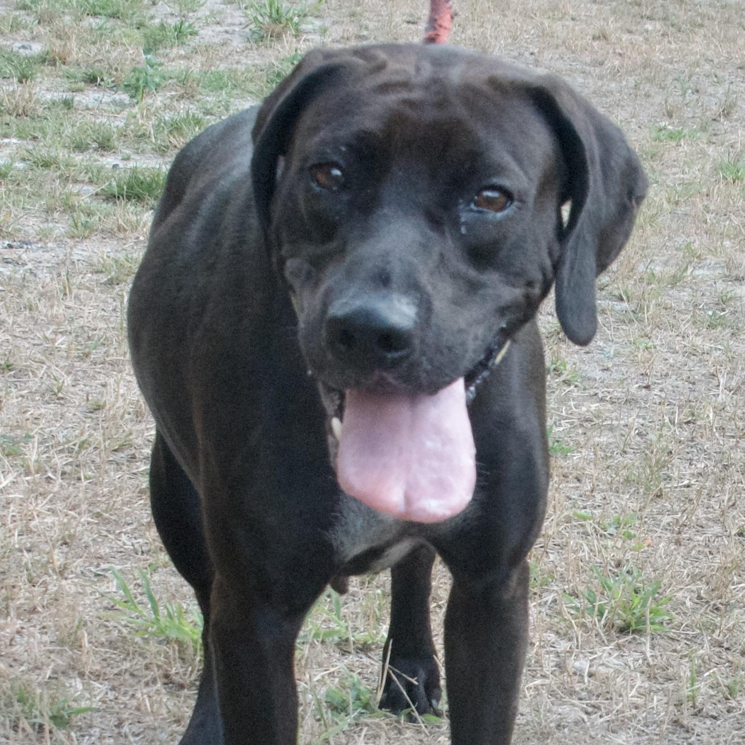 Sammy photo 2