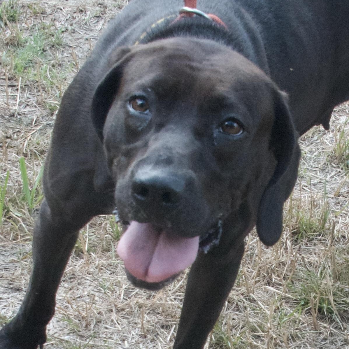 Sammy photo 4