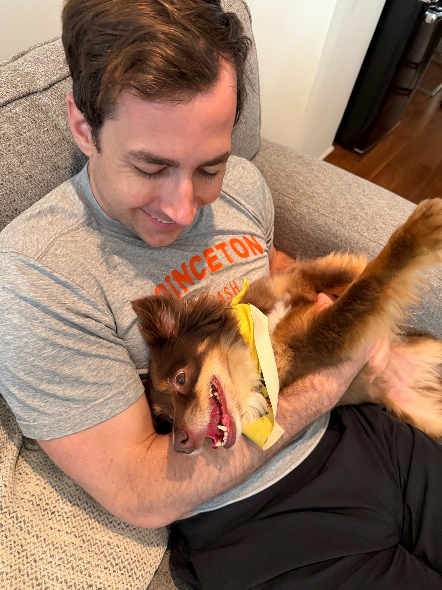 Enlarge Belle(ville), an adopted Australian Shepherd in Brooklyn, NY image 3/6