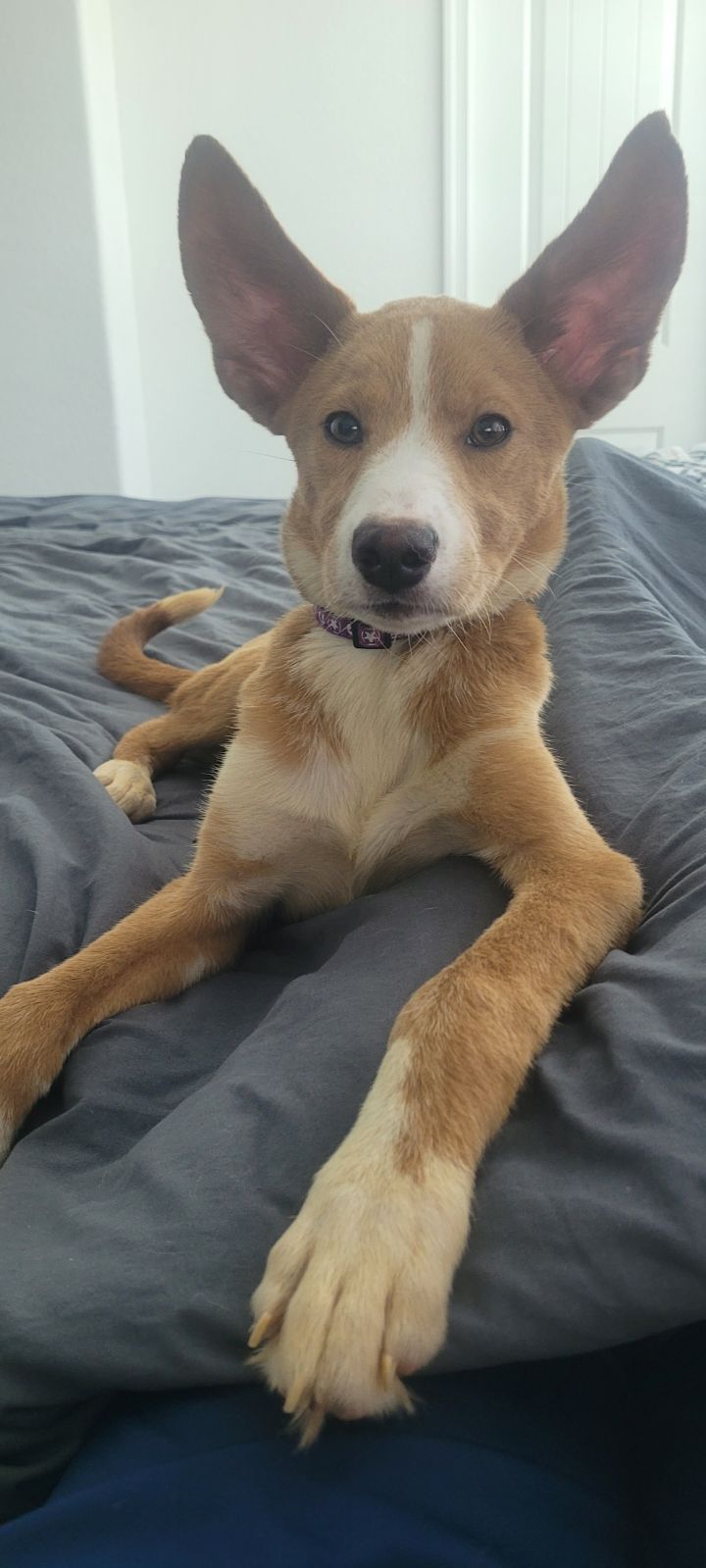Mimi photo 3