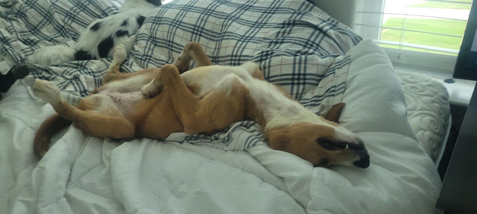 Mimi thumbnail 5