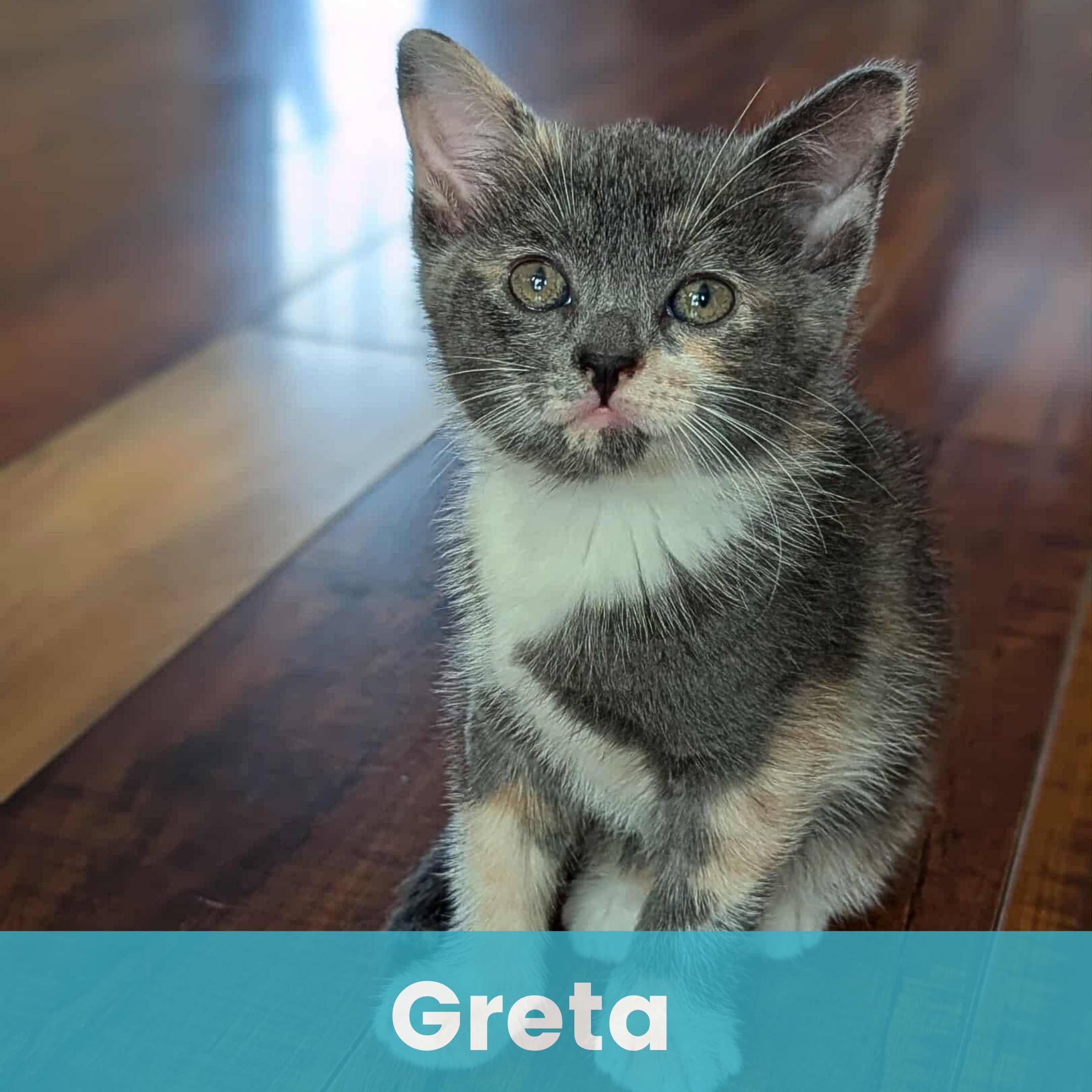 Greta