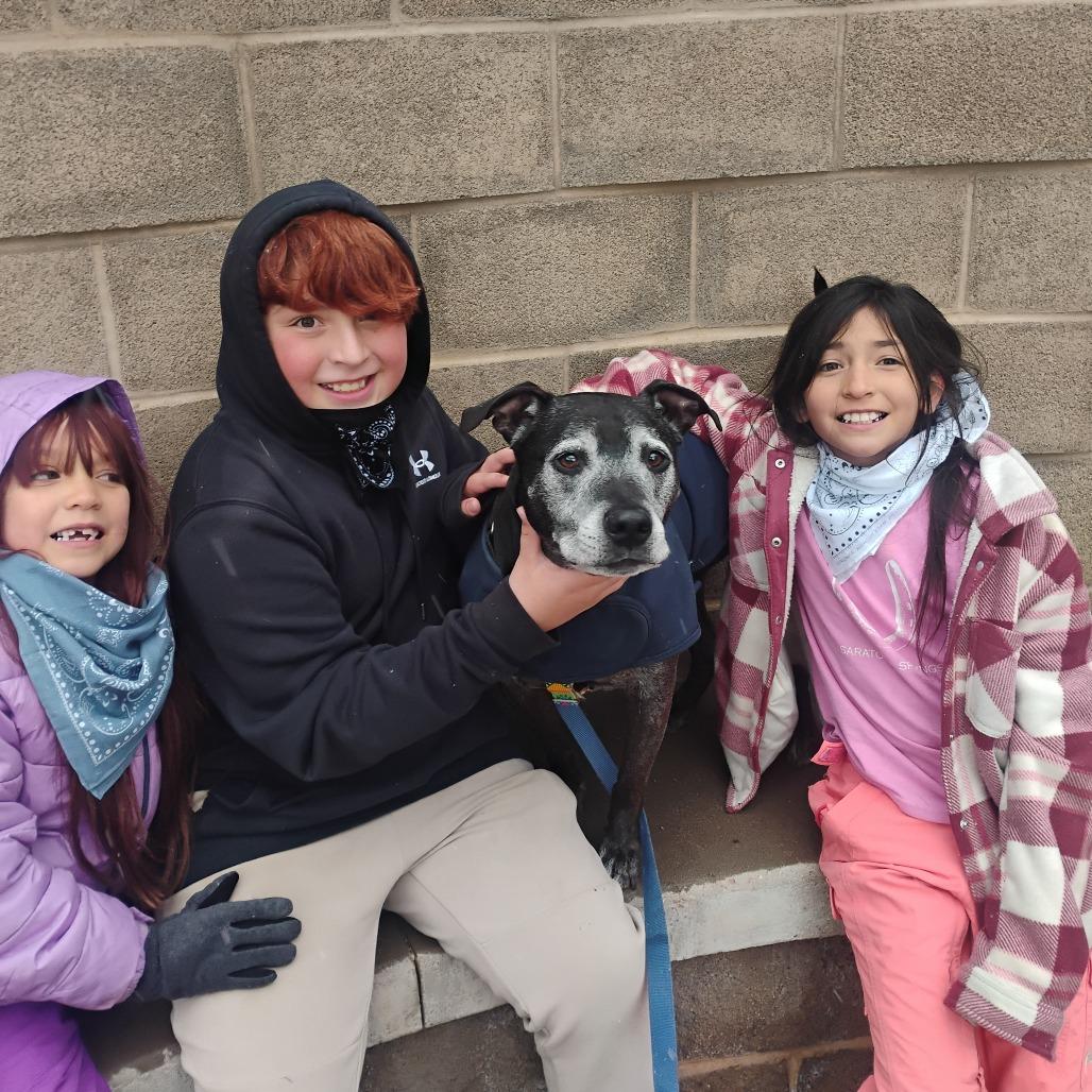 Knight, a Adoptable Mixed Breed in Glenwood Springs, CO image 4/6