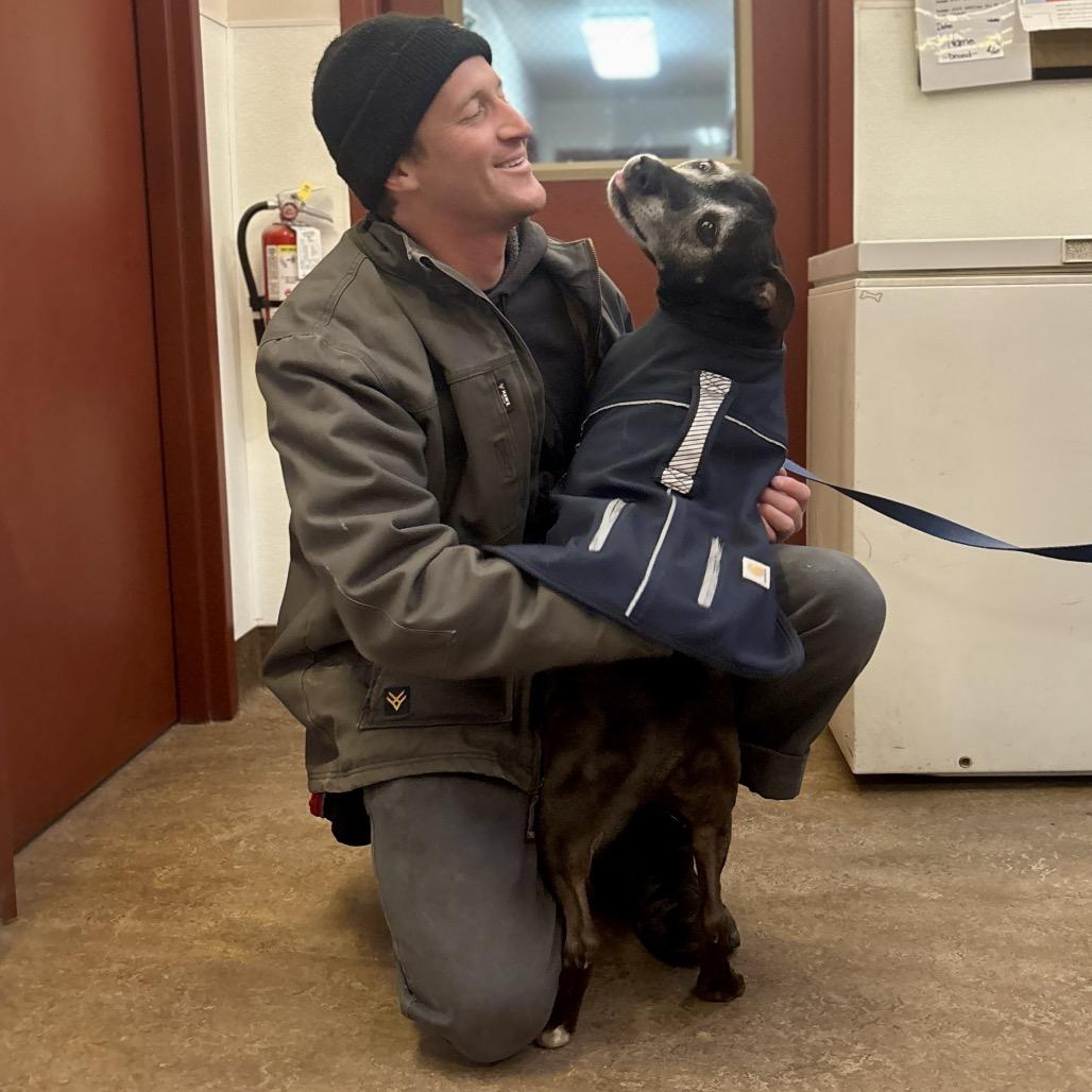 Enlarge Knight, a Adoptable Mixed Breed in Glenwood Springs, CO image 6/6