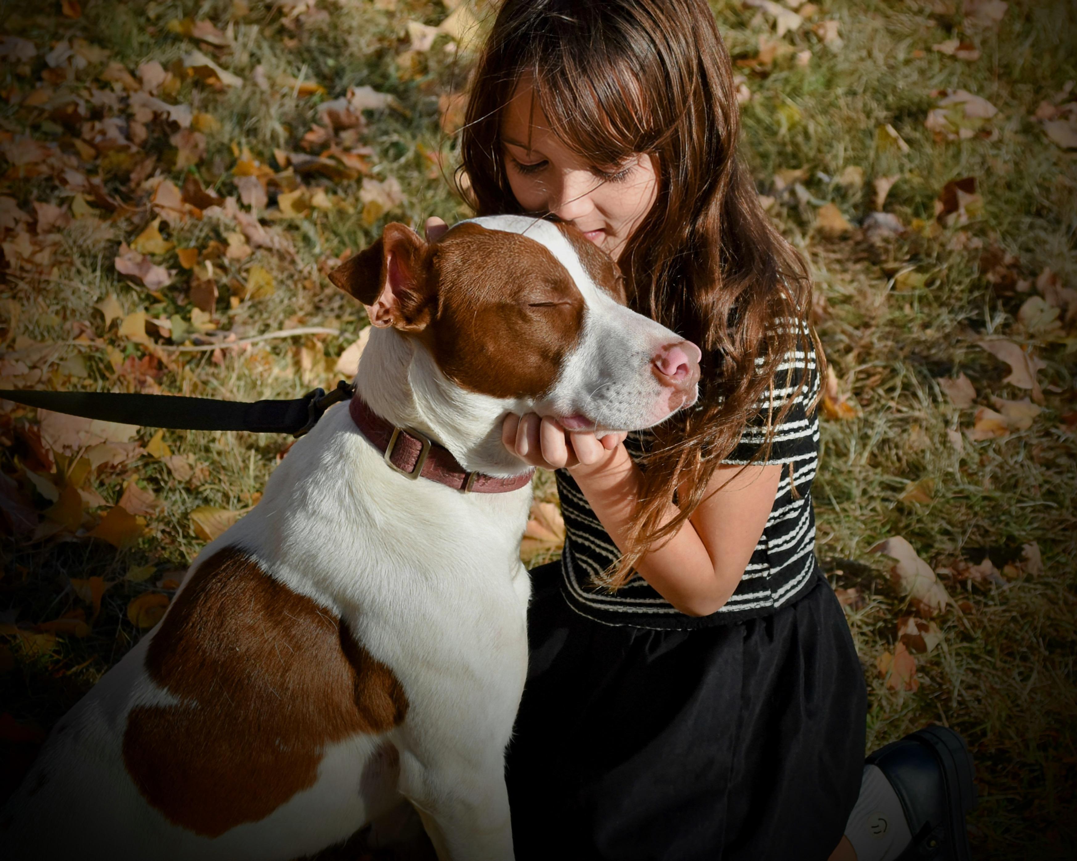 Enlarge Maxine, a Adoptable mixed breed in Spring hill, TN image 2/6