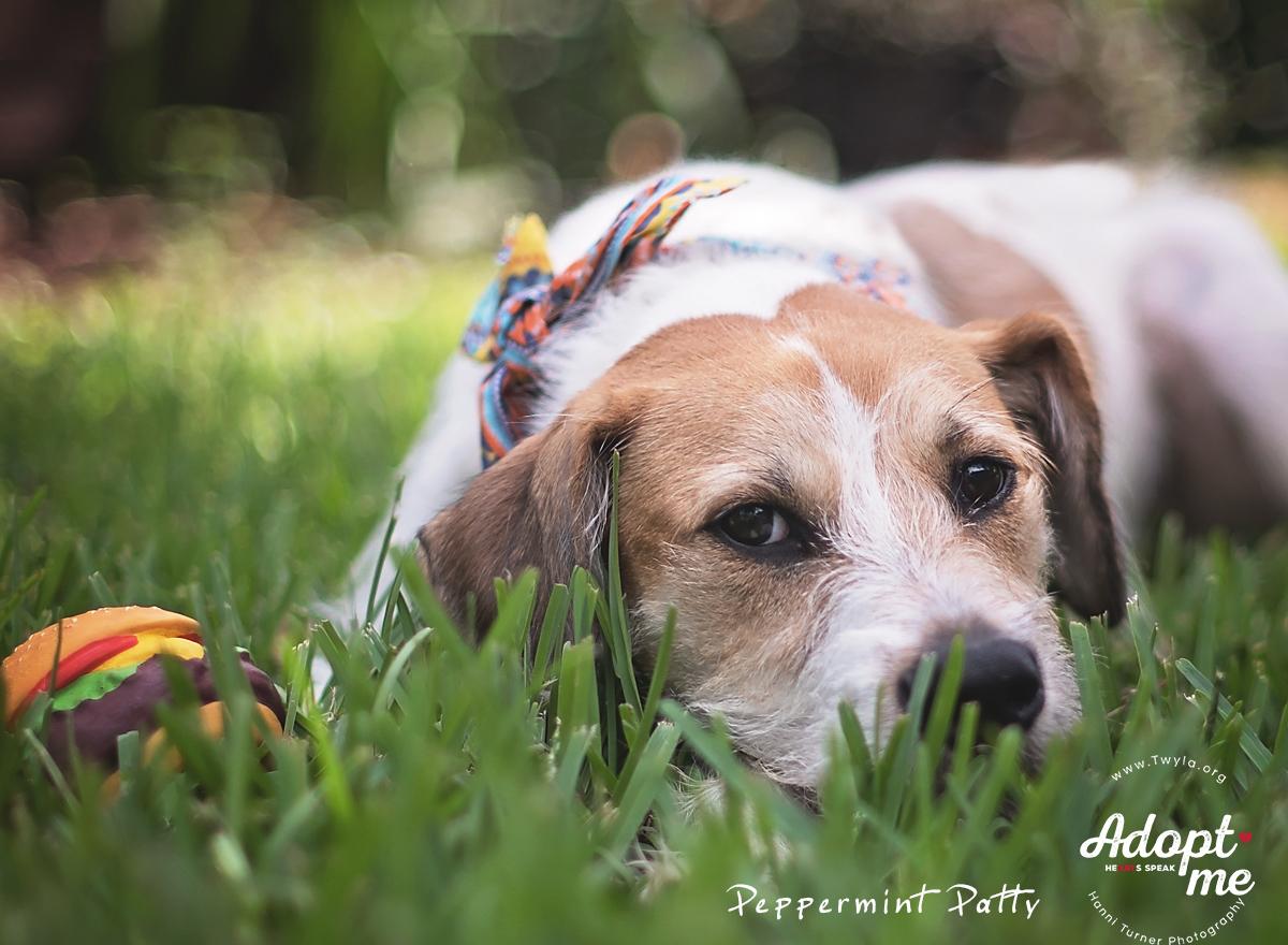 Peppermint Patty