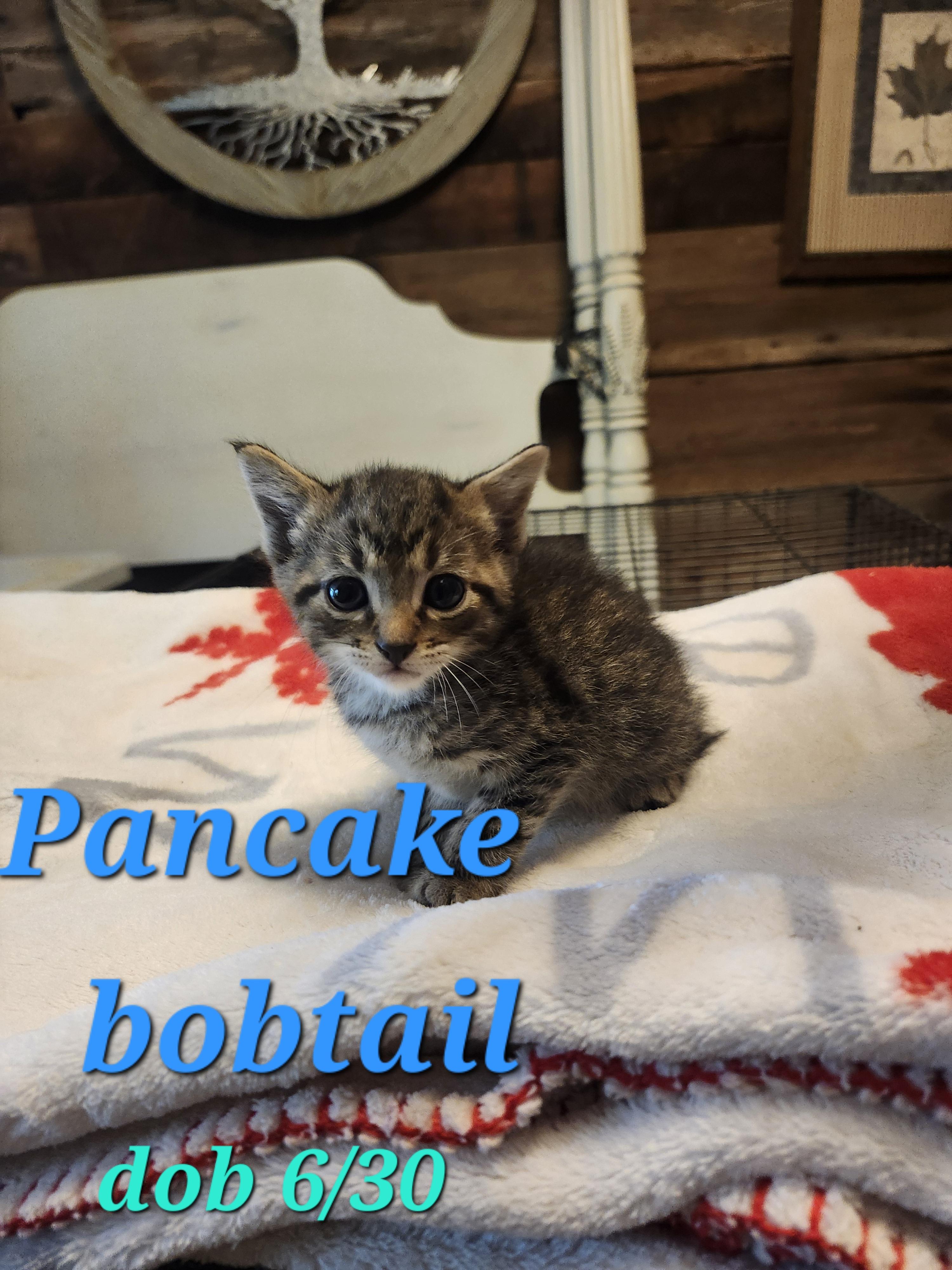 Pancake thumbnail 2