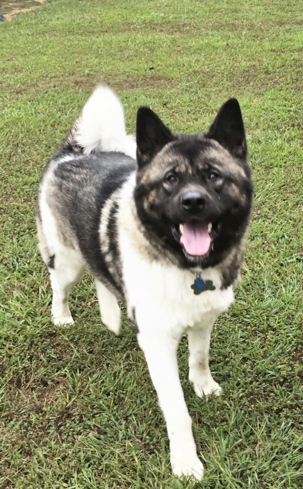 Ben
