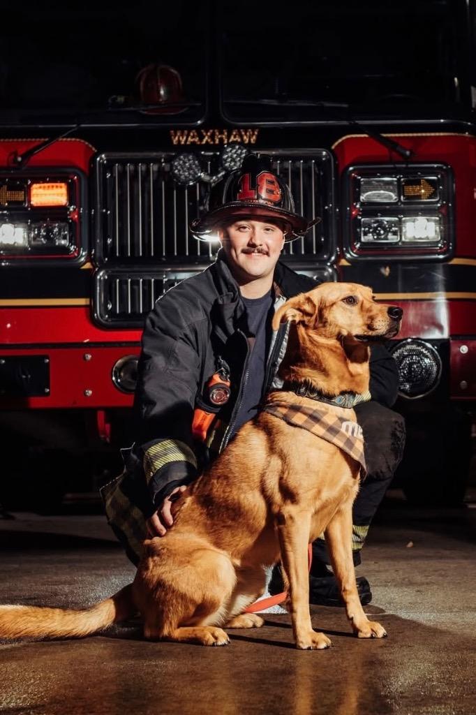 River, a Adoptable mixed breed in Waxhaw, NC image 6/6