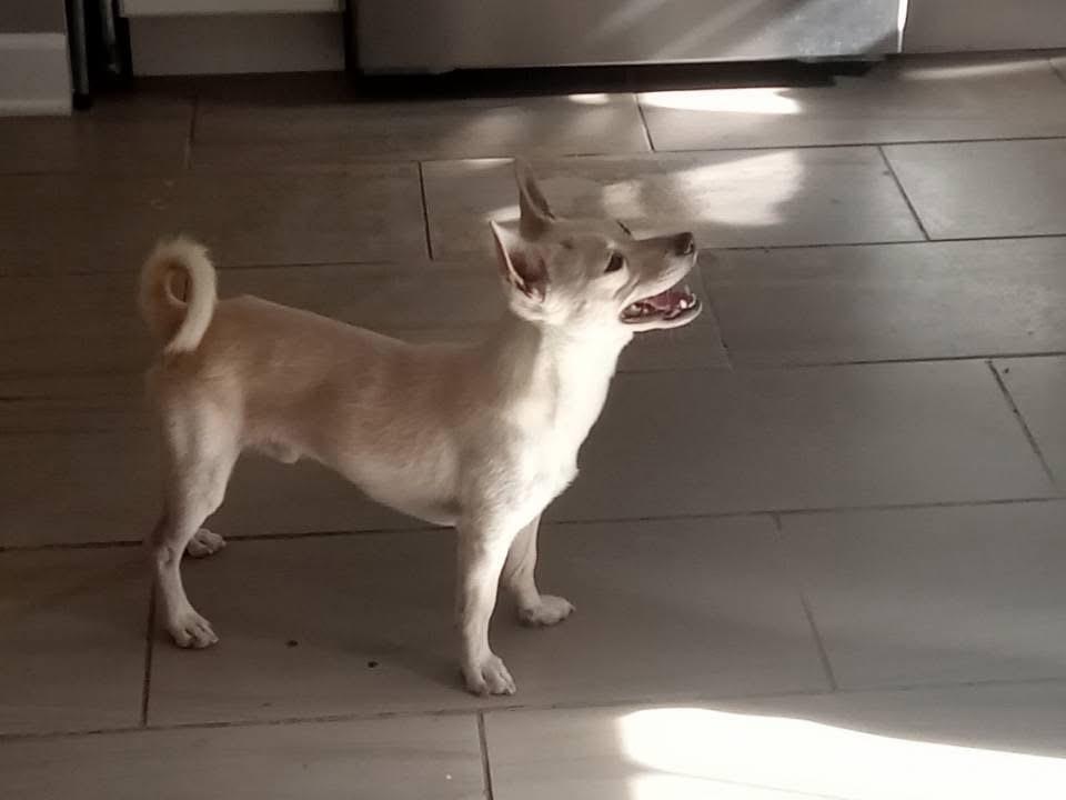 Max photo 2