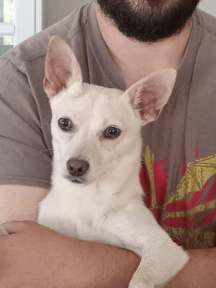Max photo 3