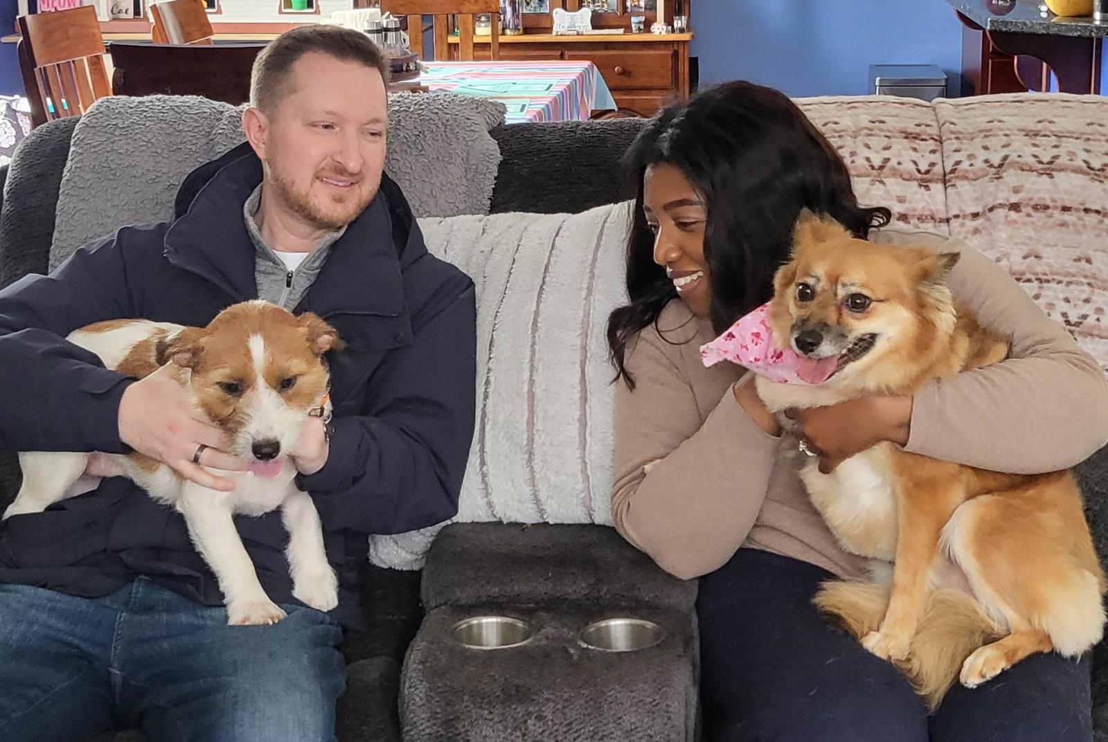 Enlarge Hayley, a Adopted Pomeranian in Lebanon, PA image 1/3