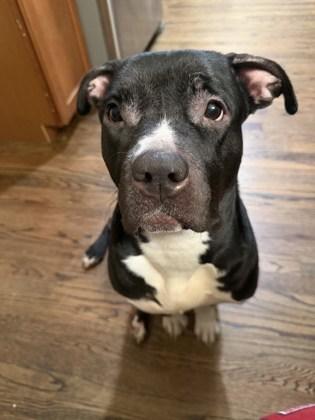 Peaches — thumbnail 2