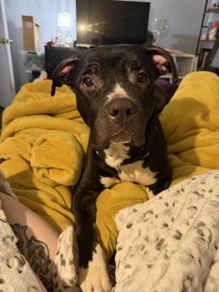 Peaches — thumbnail 3