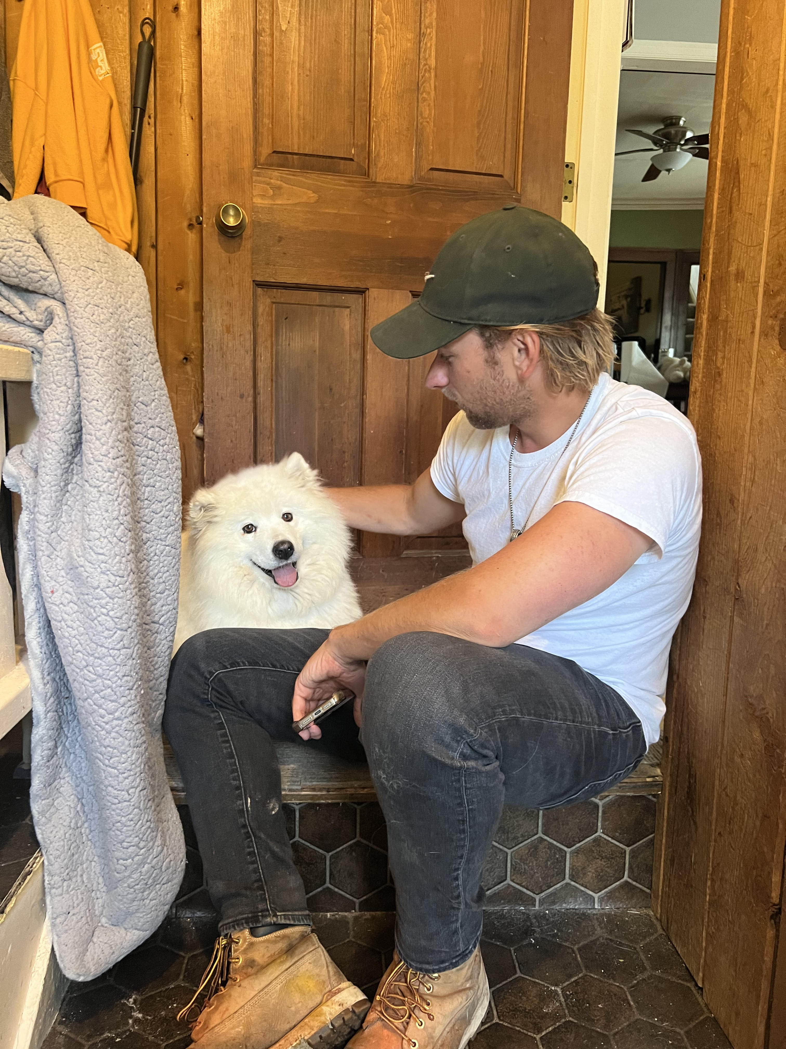 Enlarge Maizy - Medical Foster/adopt Request, a Adopted Samoyed in Madison, WI image 2/6