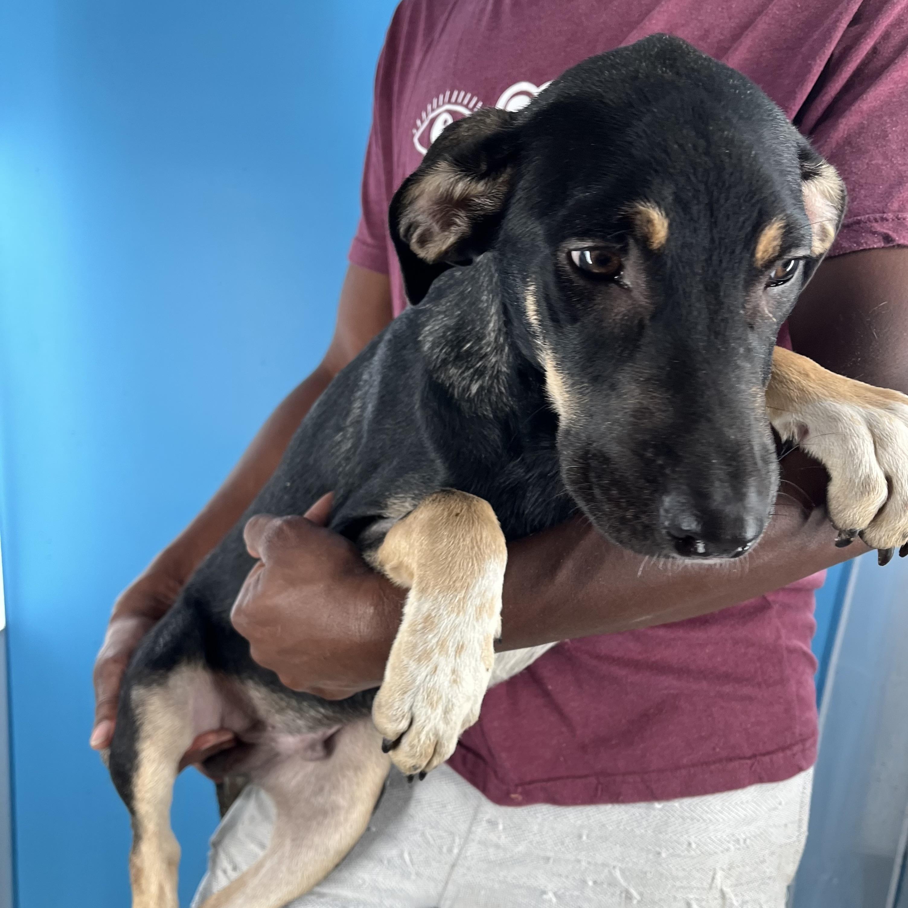 Conrad - Local Sept 26-28