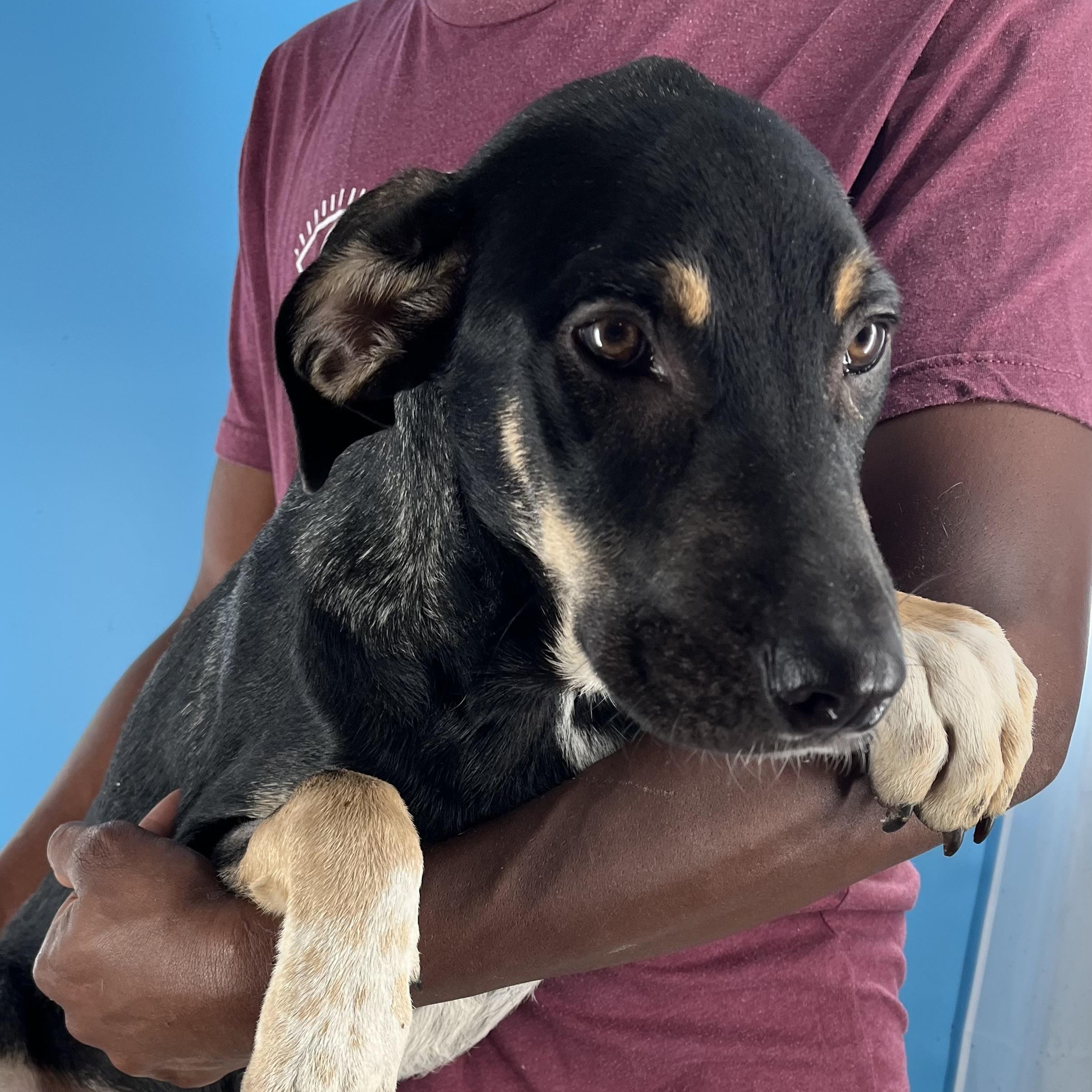 Conrad - Local Sept 26-28