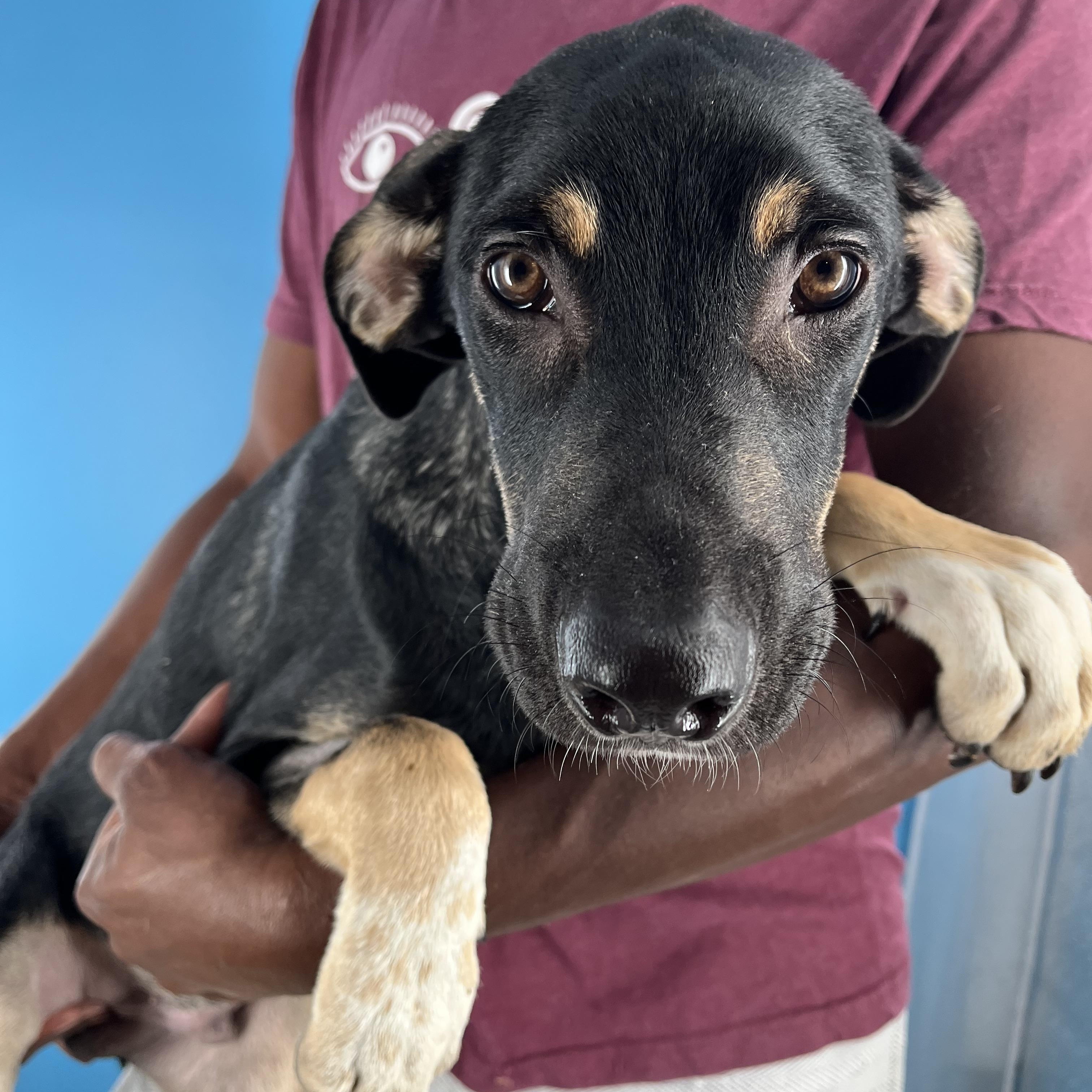 Conrad - Local Sept 26-28