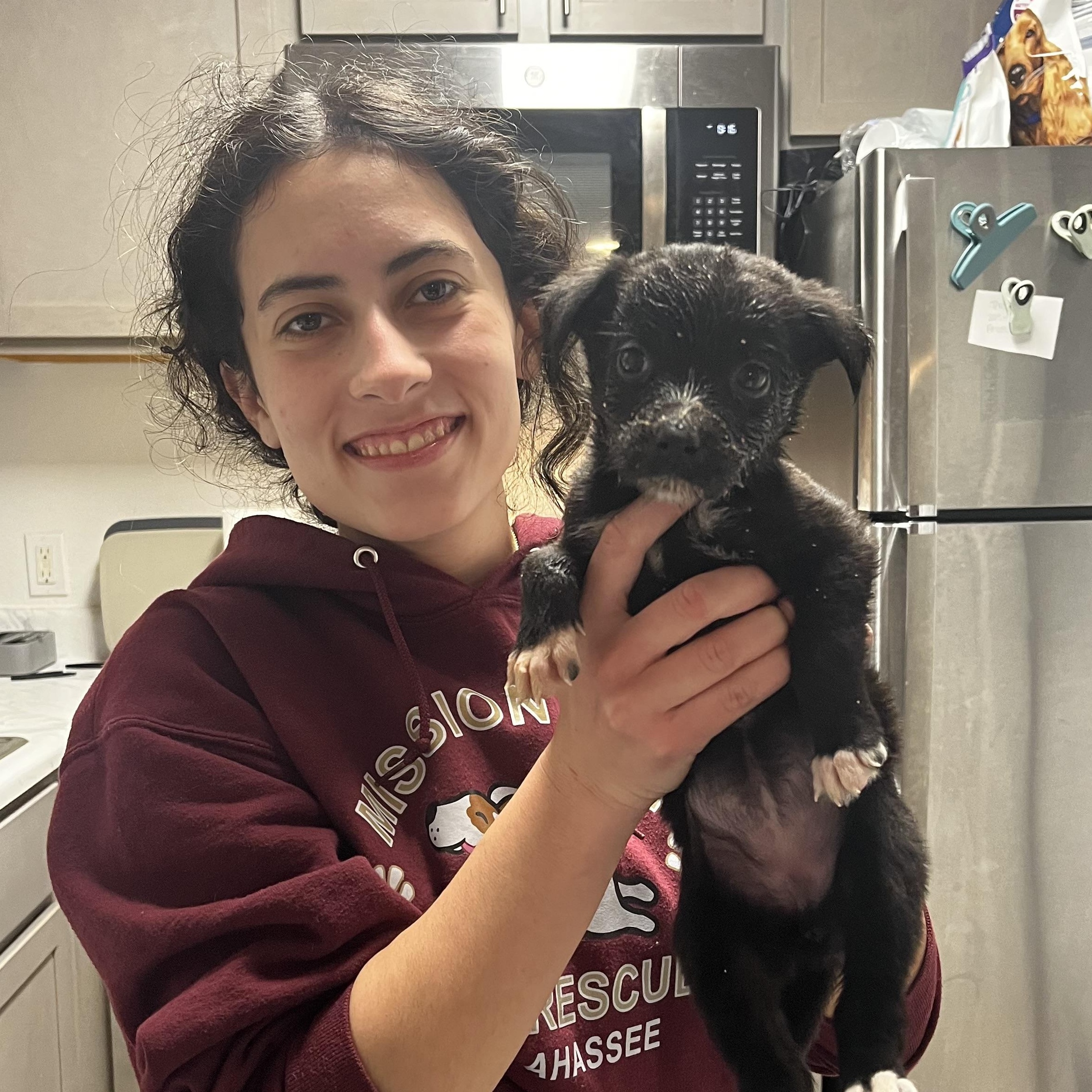 Enlarge Nova, a ADOPTABLE mixed breed in Tallahassee, FL image 5/6