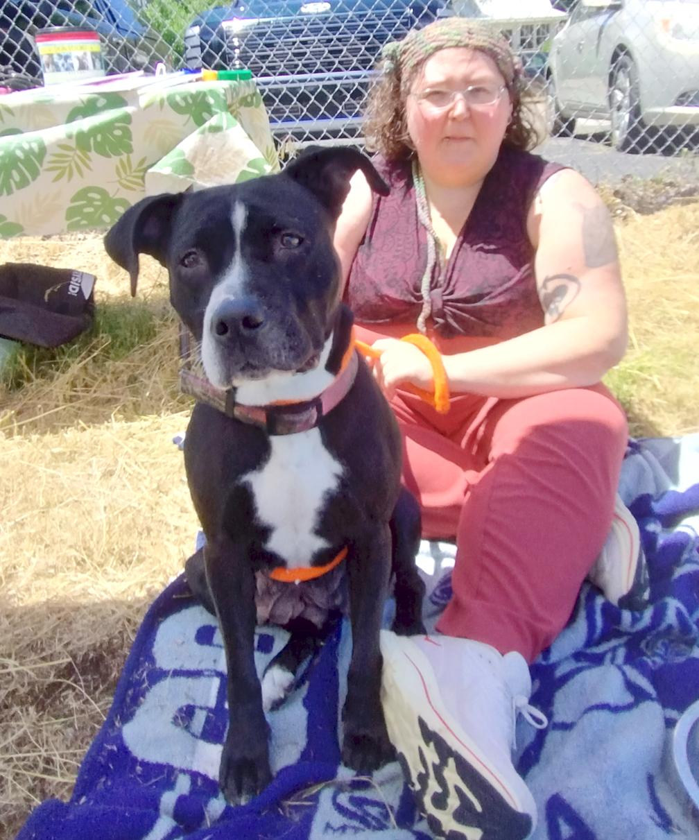 Cucumber, a Adoptable mixed breed in Benton Harbor, MI image 6/6