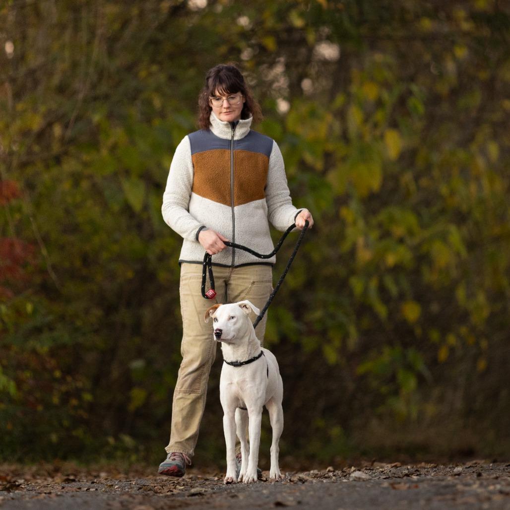 Enlarge Azul, a Adoptable mixed breed in Rossville, GA image 2/5