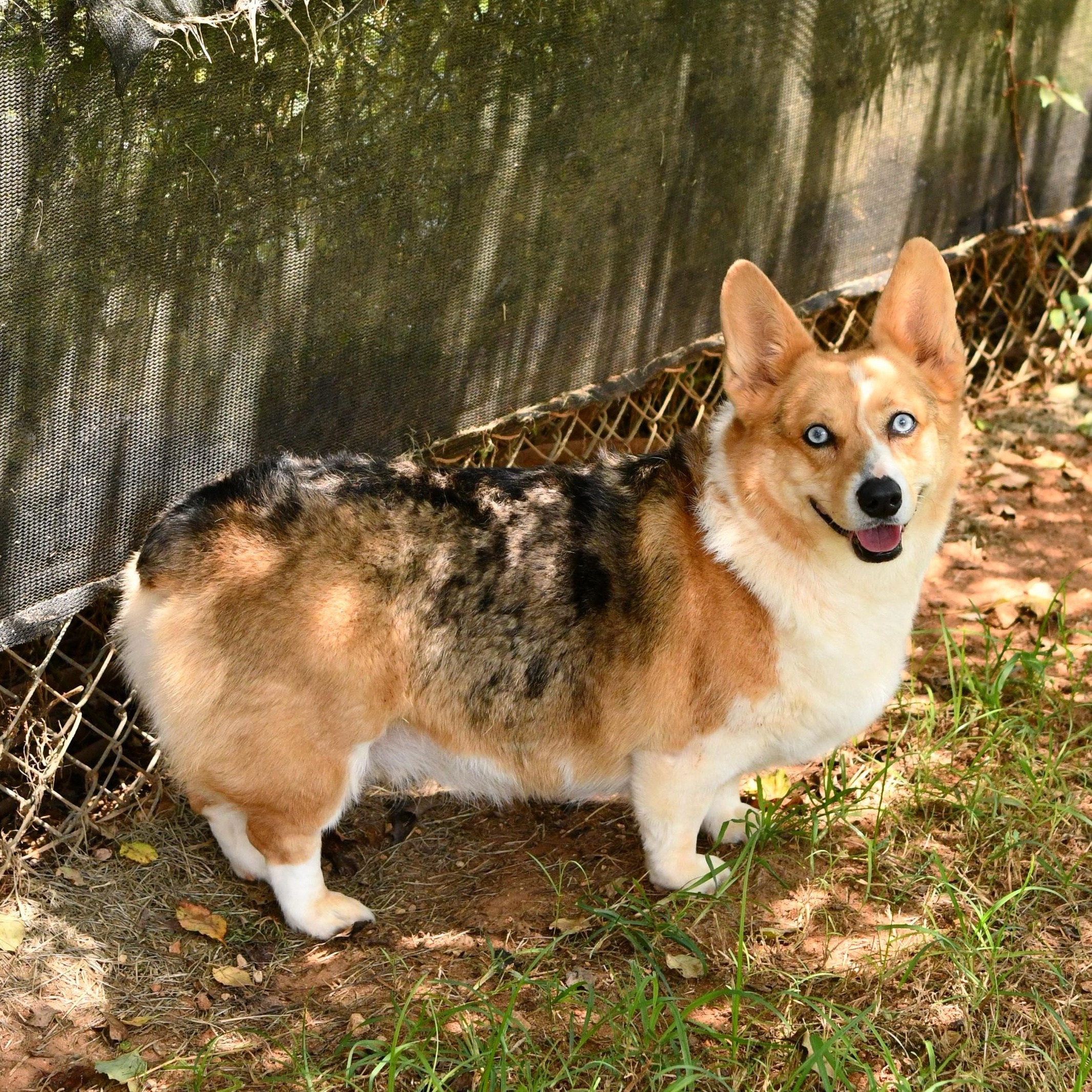 Sophie