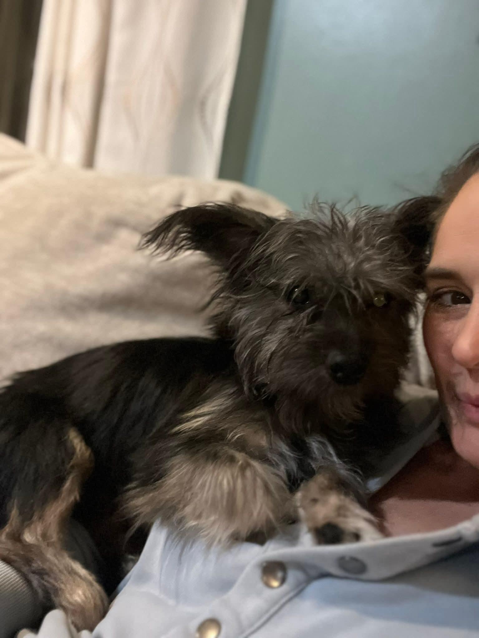 Enlarge MILLER, a ADOPTABLE mixed breed in Jackson, TN image 3/6