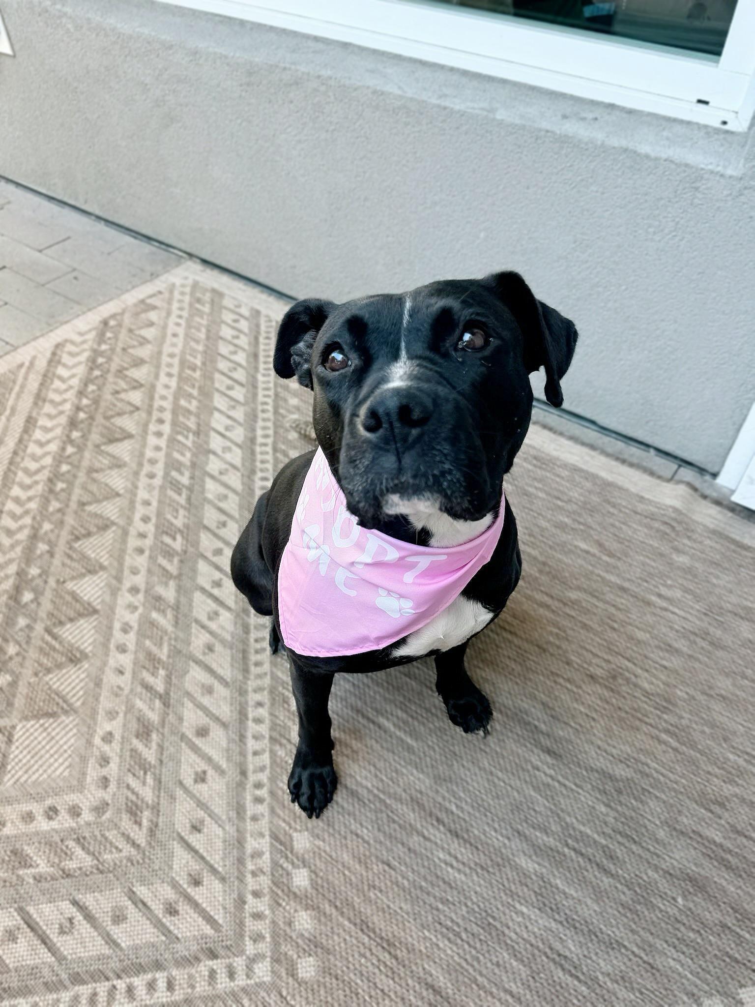 Darla