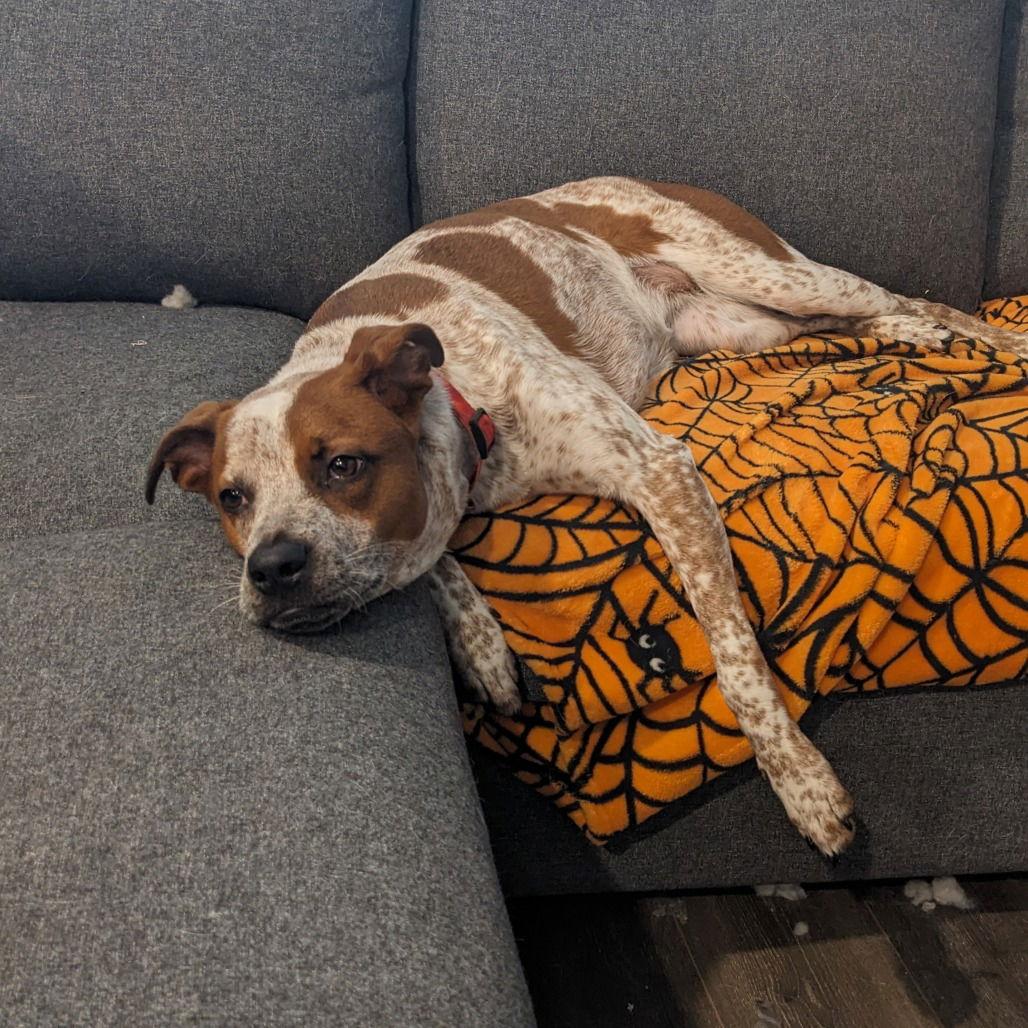 Sally (New Digs) — thumbnail 3