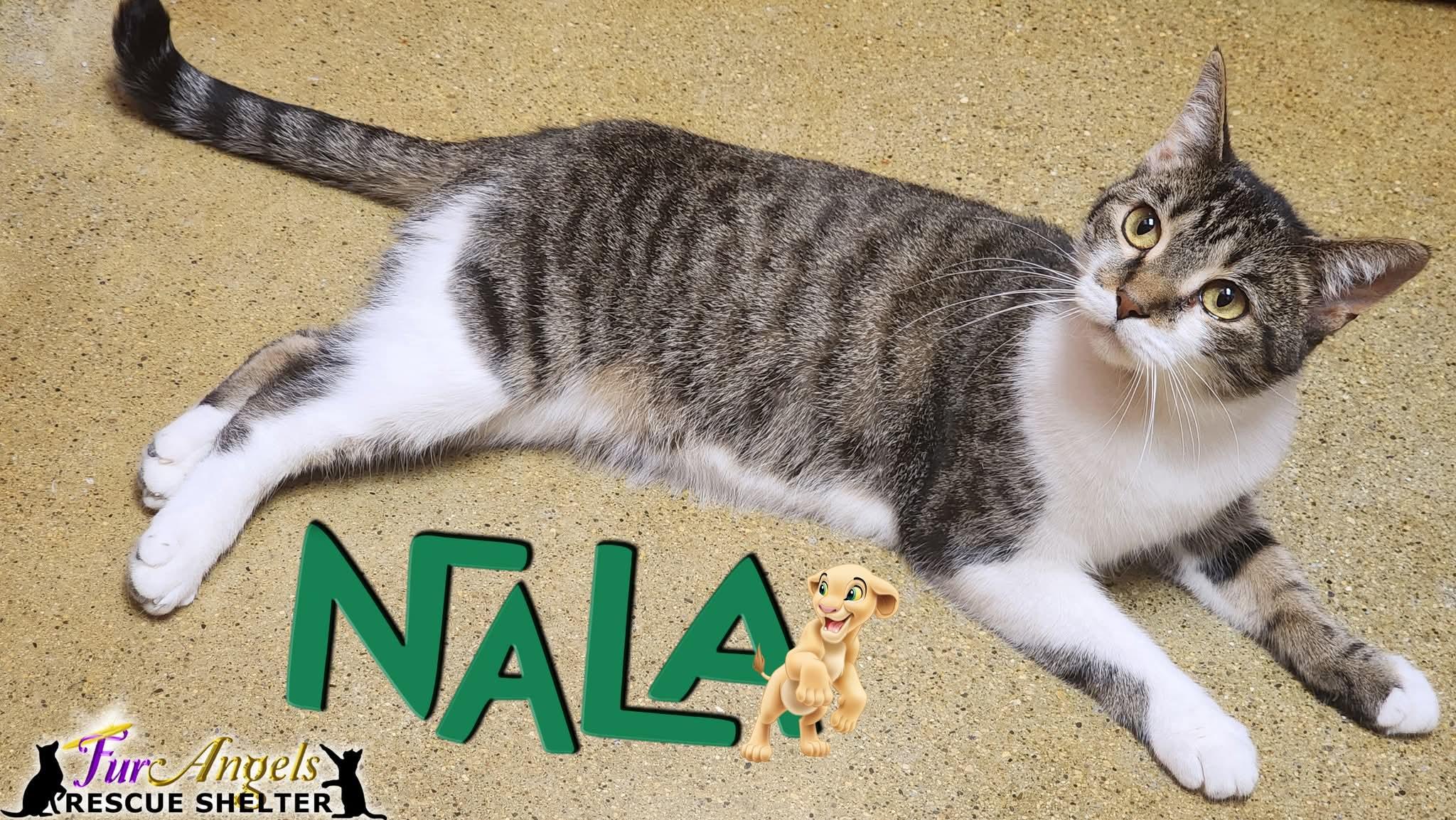 Nala