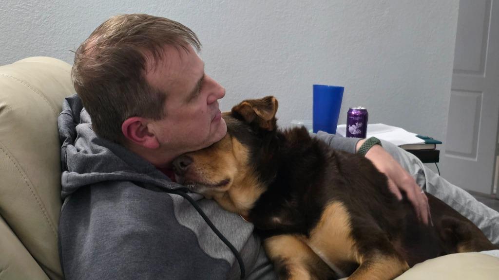 Enlarge Hix, a Adoptable mixed breed in Arlington, TX image 2/6