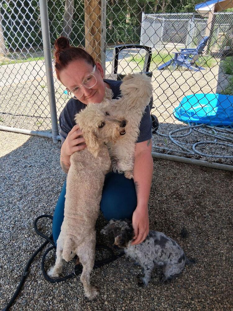Zoey (ZoZo), a Adopted mixed breed in Muskegon, MI image 4/5