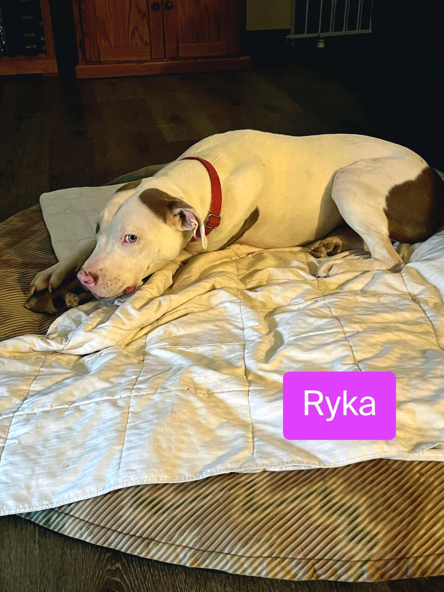 Ryka — thumbnail 3