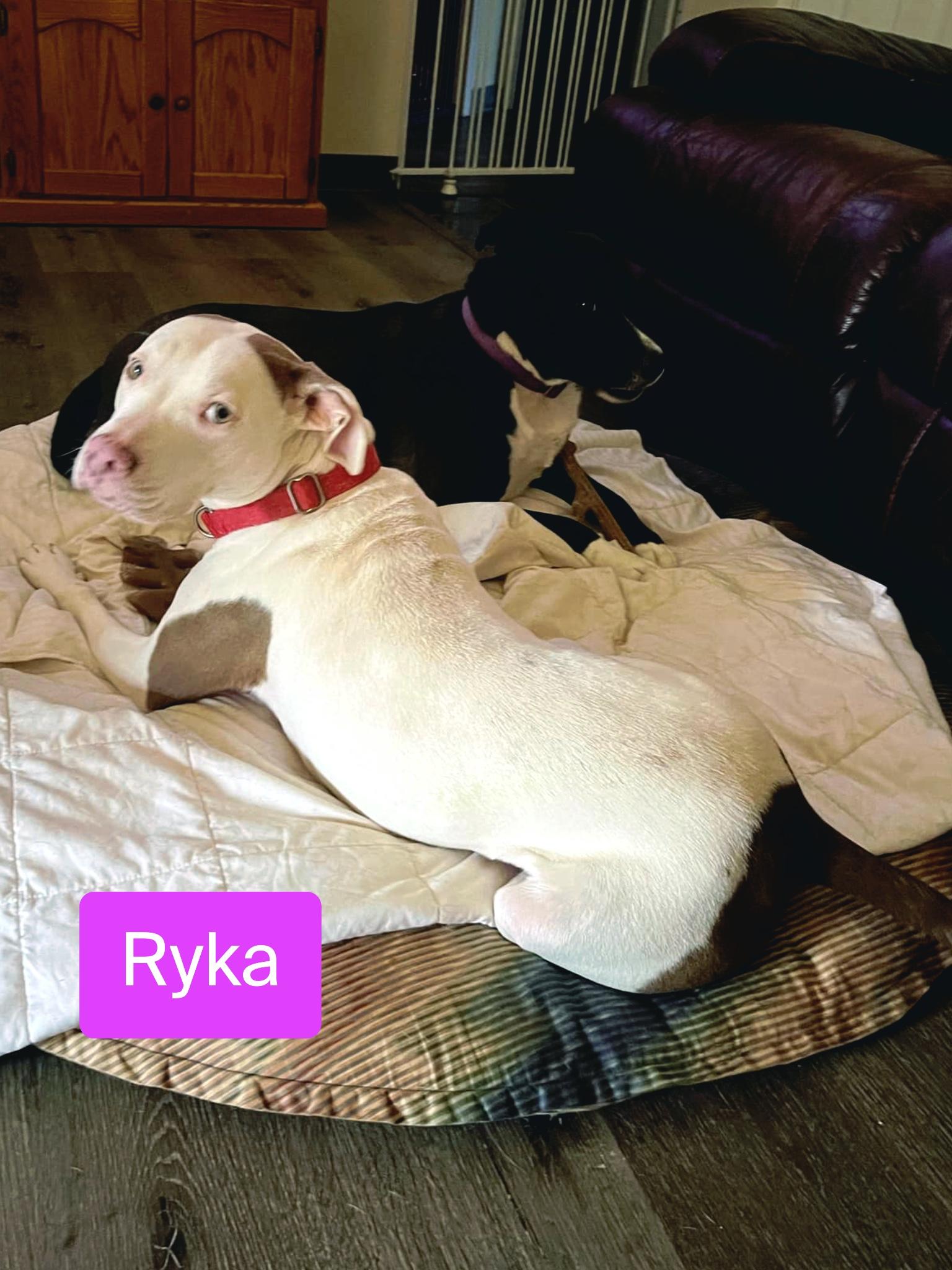 Ryka — thumbnail 4