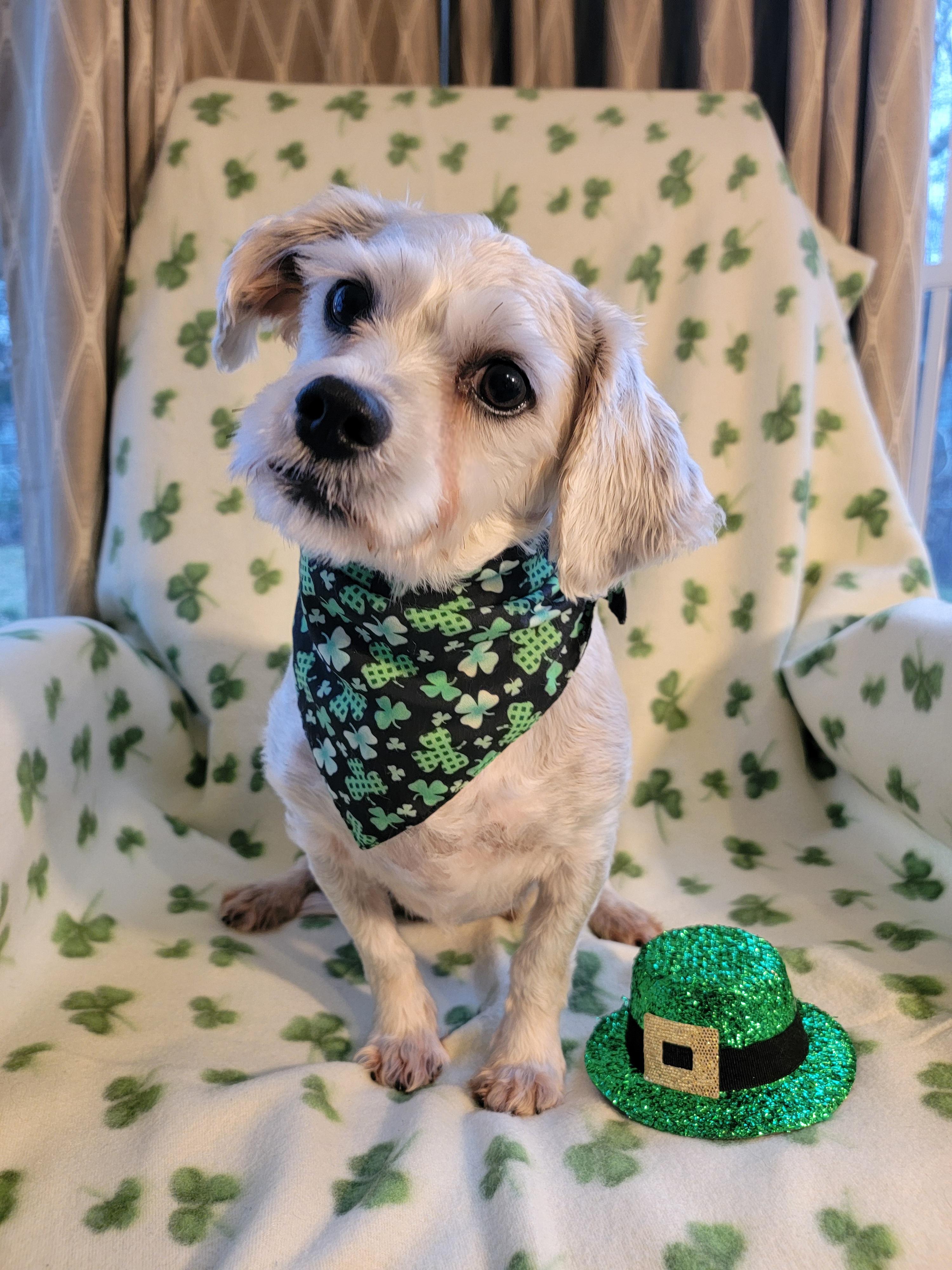 Flower — thumbnail 2