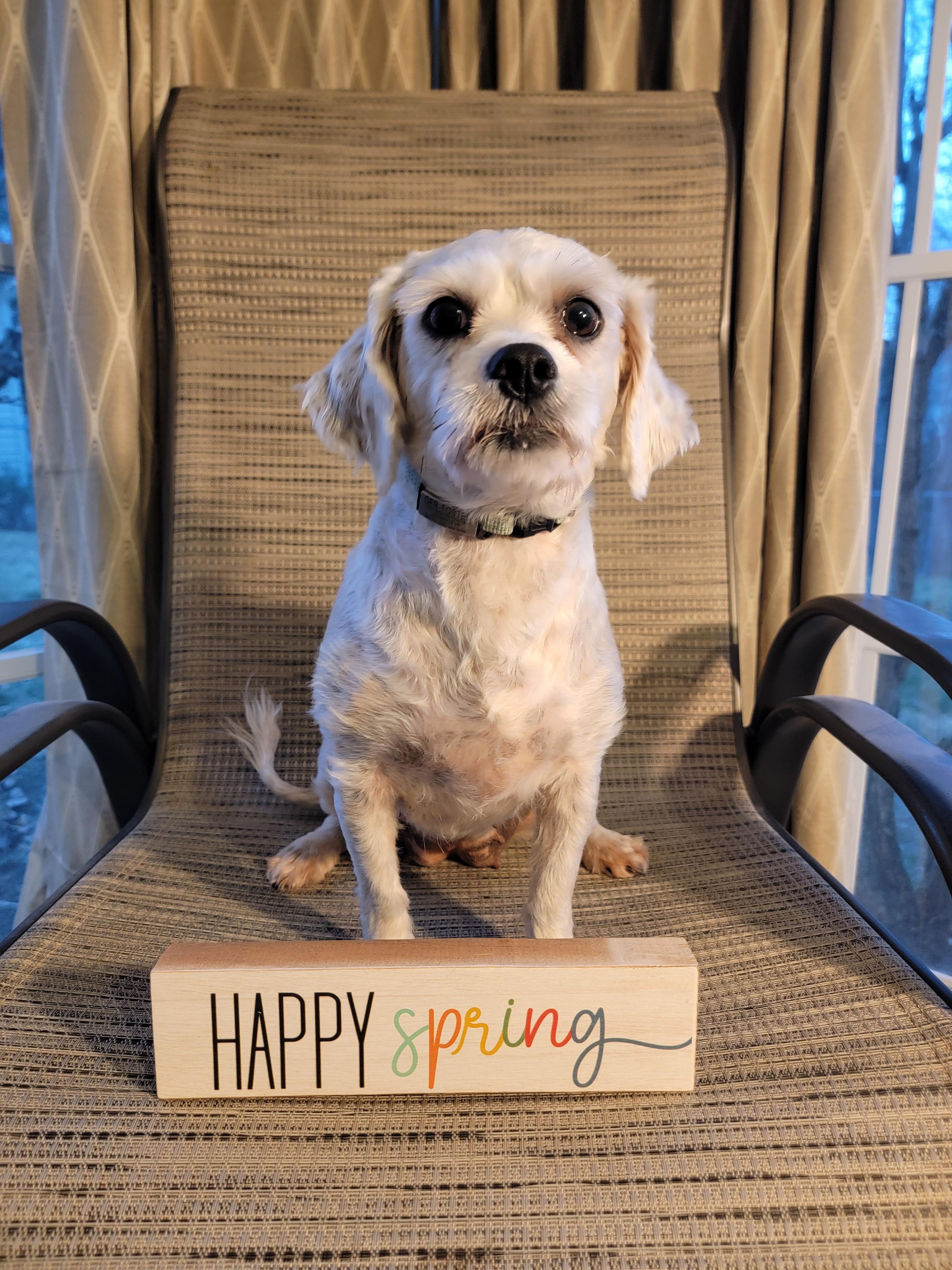 Flower — thumbnail 4