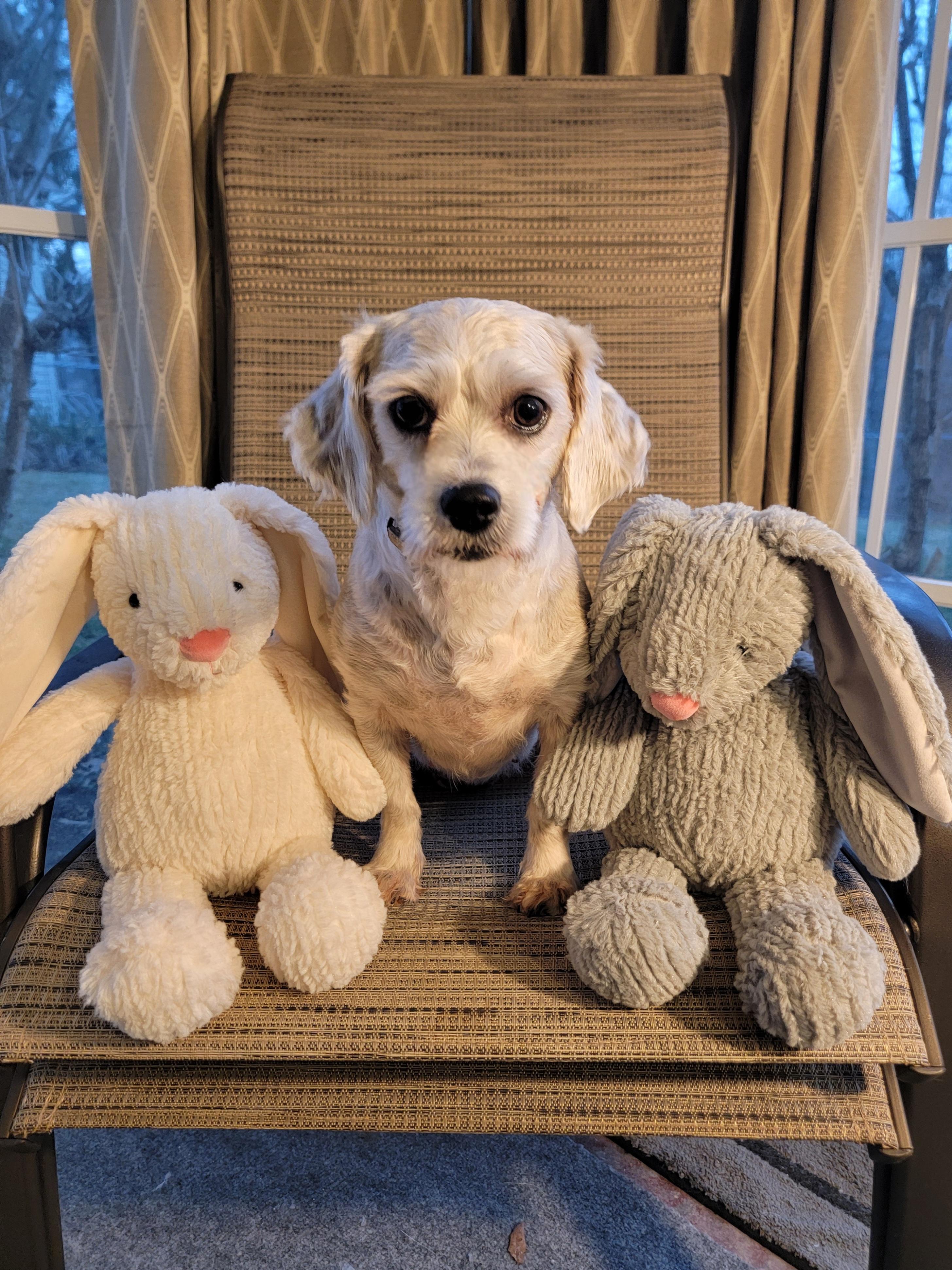 Flower — thumbnail 6